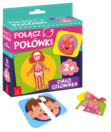 Połącz połówki Ciało człowieka 41305