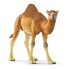 Schleich wielbłąd dromader  14832