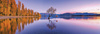 Puzzle 1000 Panorama HQ Lake Wanaka Tree 39608