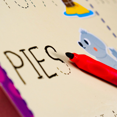 Lisciani Montessori Pen szkoła pisania  304-PL97081