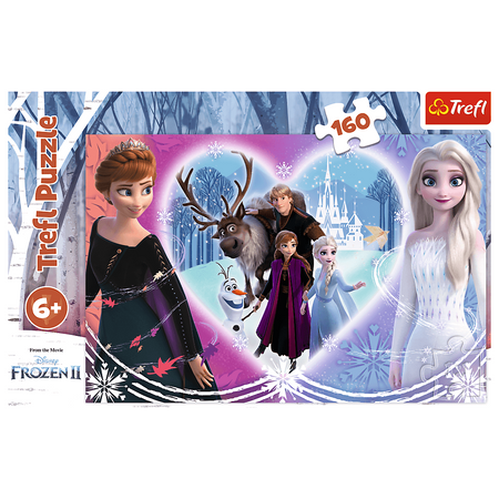 PUZZLE 160 Radosne chwile Frozen II 15408 15408