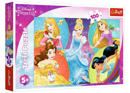 Puzzle 100 Poznaj urocze Księżniczki 16419