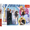 PUZZLE 100 Glitter W blasku miłości Frozen 2  14817