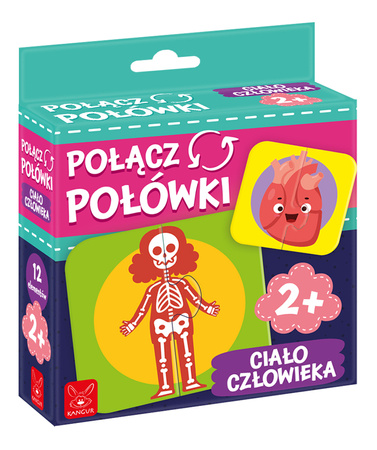 Połącz połówki Ciało człowieka 41305