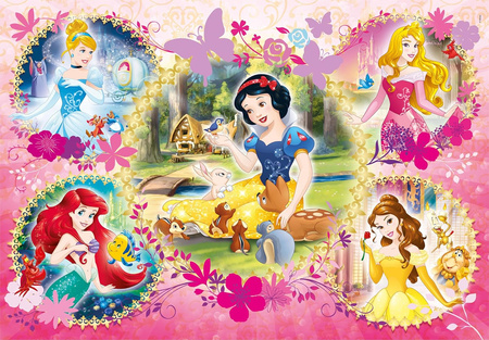 Puzzle 2x60 Super Kolor Princess  07133