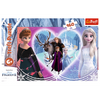 PUZZLE 160 Radosne chwile Frozen II 15408 15408