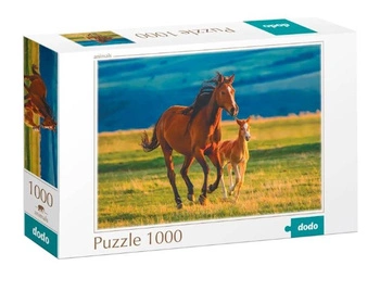 Puzzle 1000 elementów Nauka źrebaka DOB1149