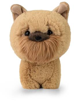 DAFFI Mas.Teddy Pets Griffon bruxell. T-016 00166