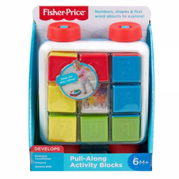 Fisher-Price klocki aktywizujące do ciągnięcia GJW10