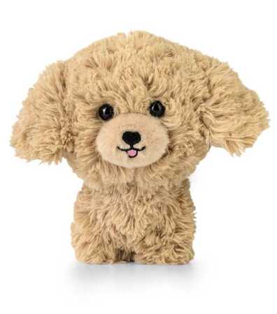 DAFFI Maskot. Teddy Pets Golden poodle T-014 00142