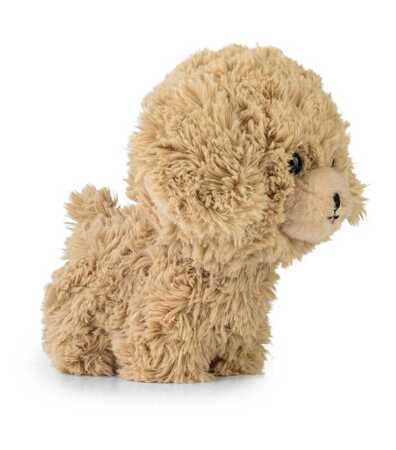 DAFFI Maskot. Teddy Pets Golden poodle T-014 00142