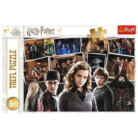 Puzzle 160 Harry Potter i przyjaciele  15418