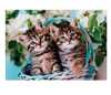 Clementoni puzzle 60 Super Kolor Lovely Kitty Twins