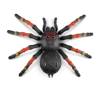 Robo Alive Tarantula wielka  7170