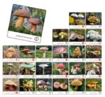 e0e4590201209da01783ac16b842c481