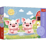 2d6e42eab3fe45a66ce7d5f1e62dab62