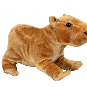 0b2c2a25f4c888c3b87eff2d1afba3ee