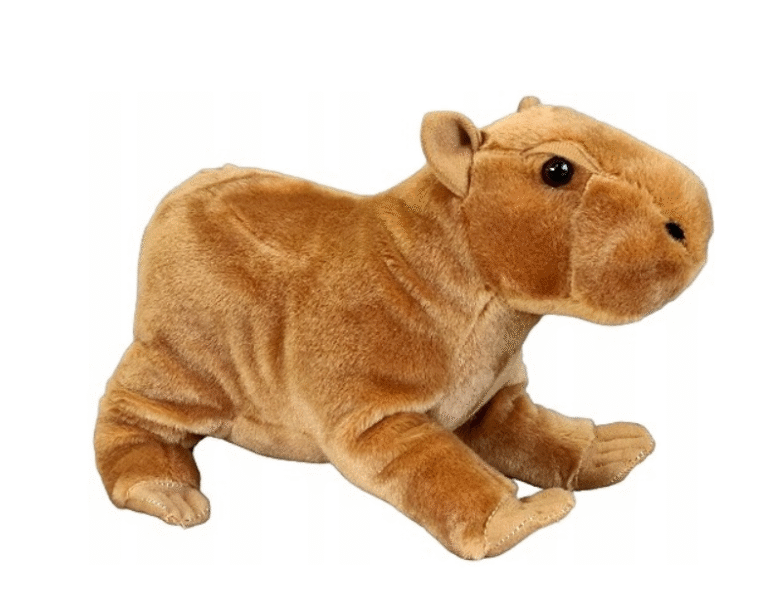 0b2c2a25f4c888c3b87eff2d1afba3ee