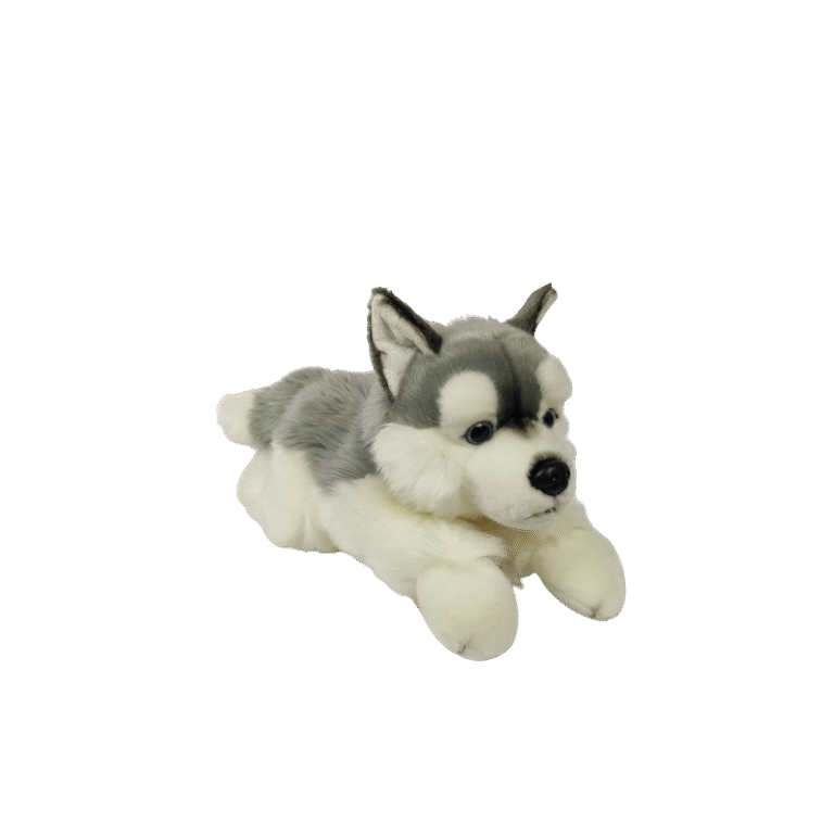 0129e7c08996b0c635524fa02be7472d